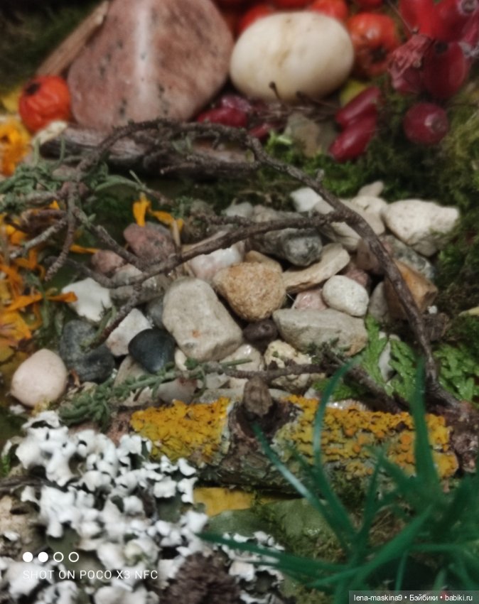 Осень- семейка ёжиков( заготовка на зиму)