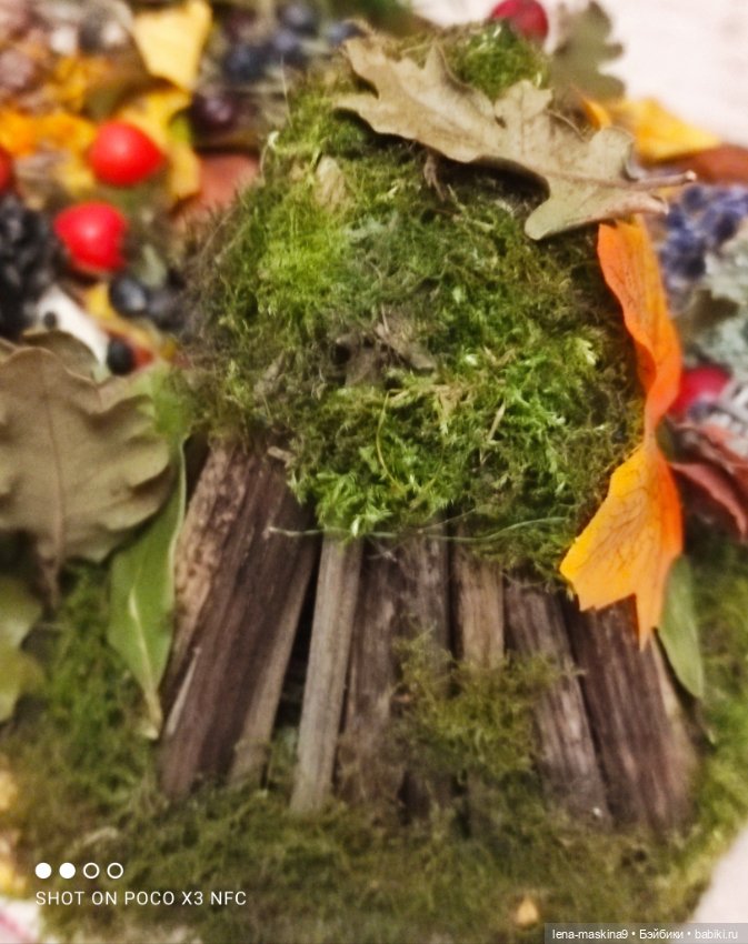 Осень- семейка ёжиков( заготовка на зиму)