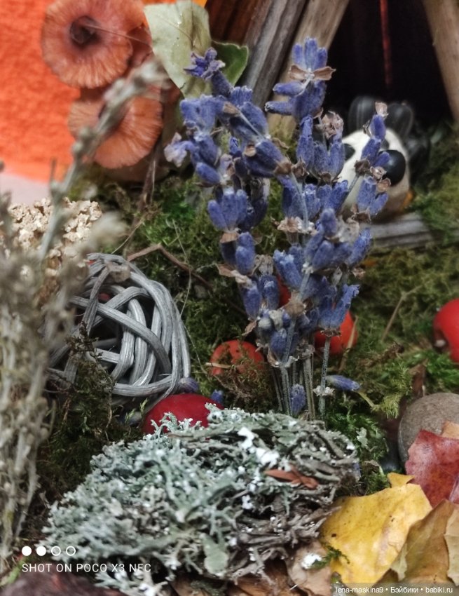 Осень- семейка ёжиков( заготовка на зиму)