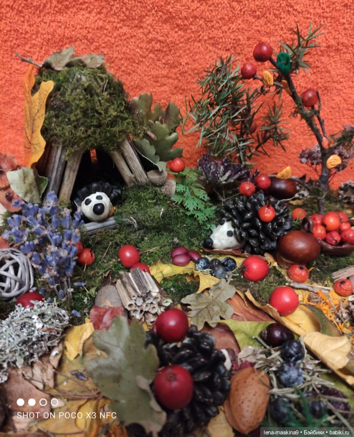 Осень- семейка ёжиков( заготовка на зиму) (фото 3)