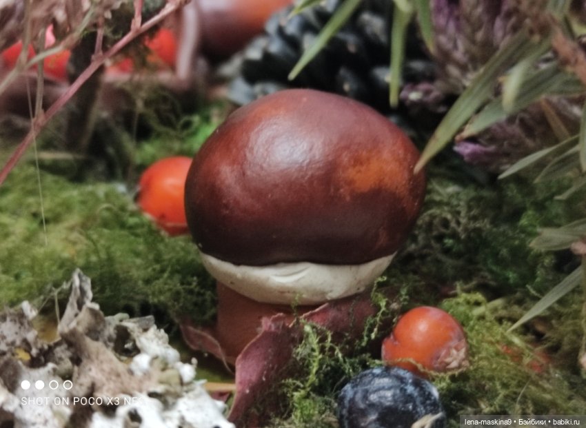 Осень- семейка ёжиков( заготовка на зиму)