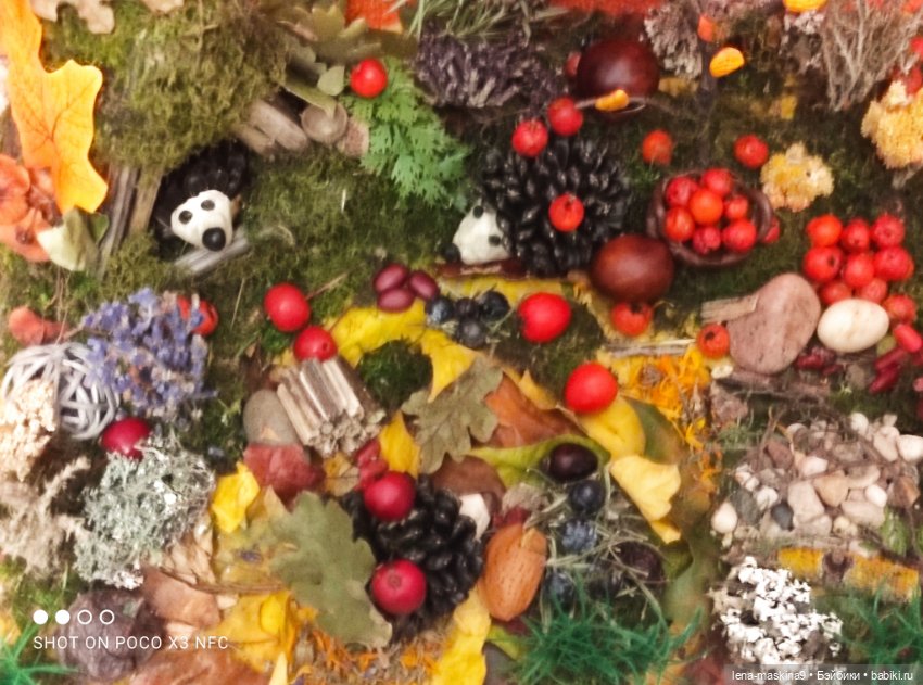 Осень- семейка ёжиков( заготовка на зиму)