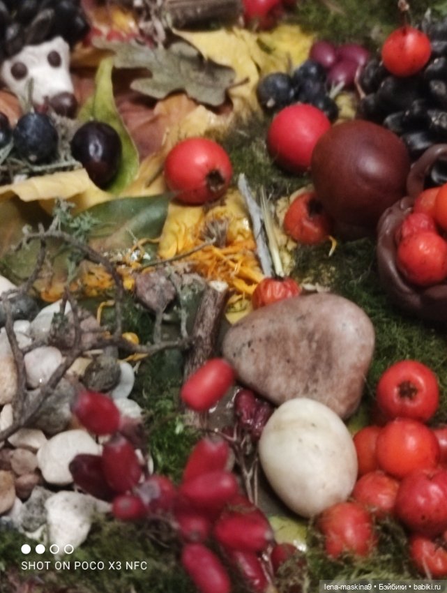 Осень- семейка ёжиков( заготовка на зиму)