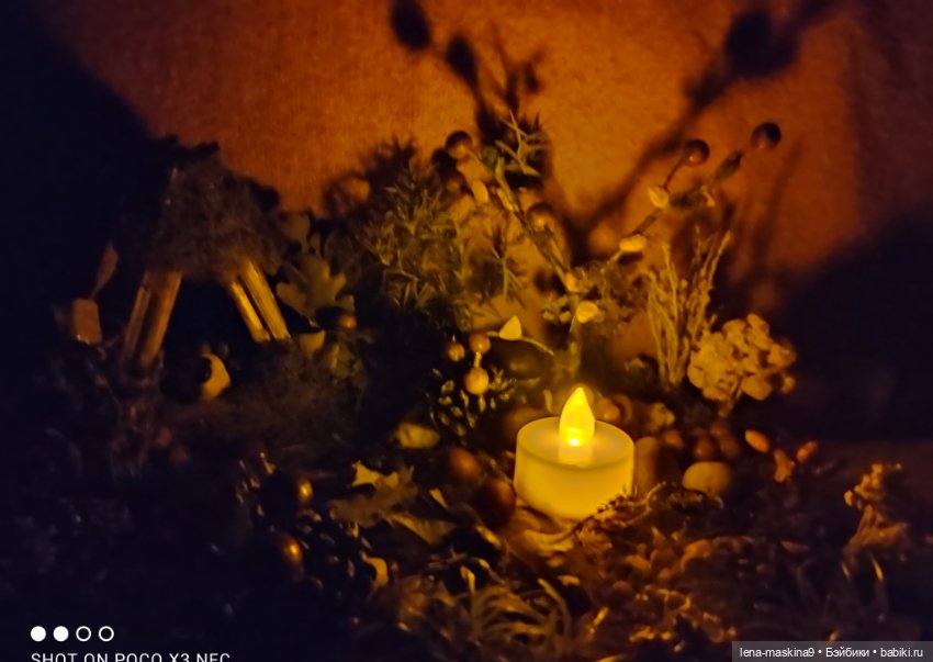 Осень- семейка ёжиков( заготовка на зиму) (фото 9)