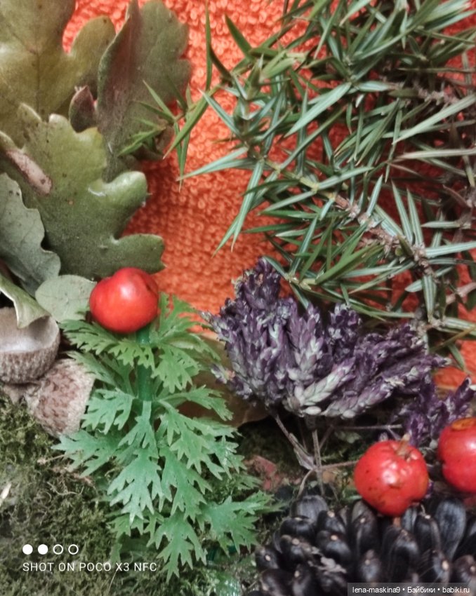 Осень- семейка ёжиков( заготовка на зиму)