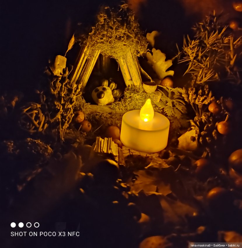 Осень- семейка ёжиков( заготовка на зиму) (фото 8)