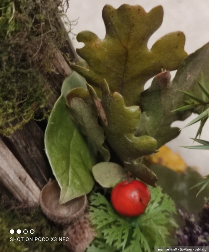 Осень- семейка ёжиков( заготовка на зиму)