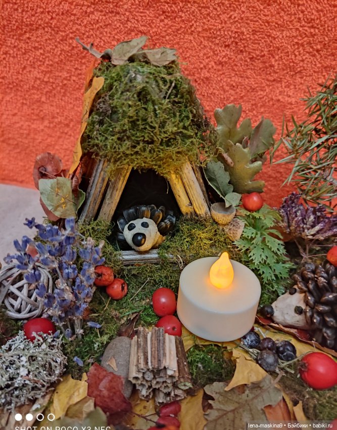 Осень- семейка ёжиков( заготовка на зиму) (фото 7)