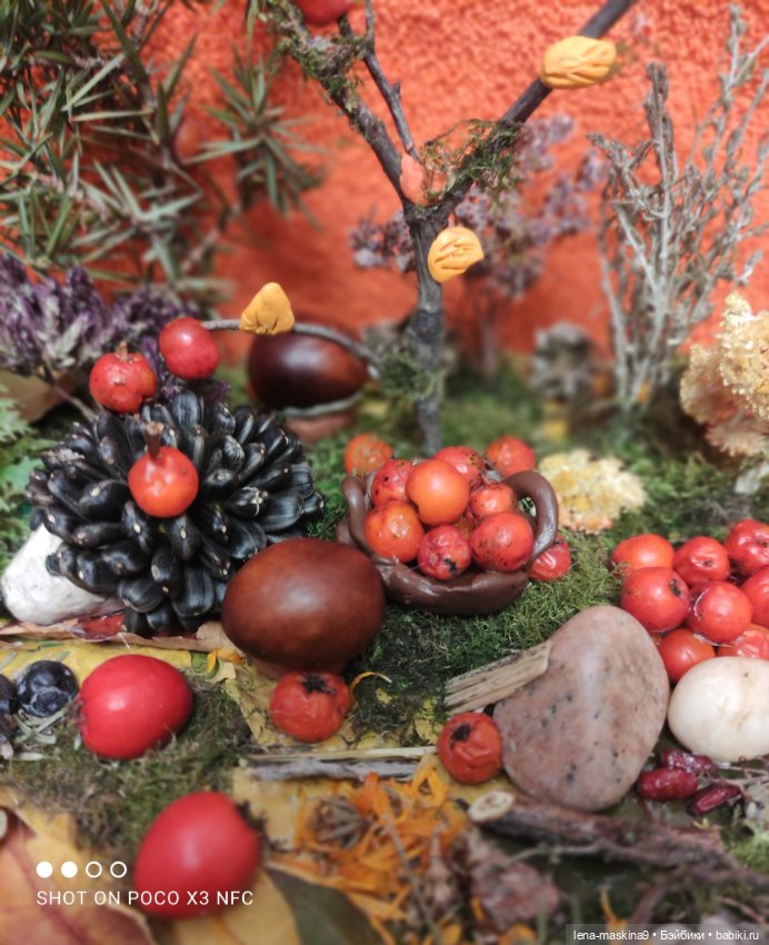 Осень- семейка ёжиков( заготовка на зиму)