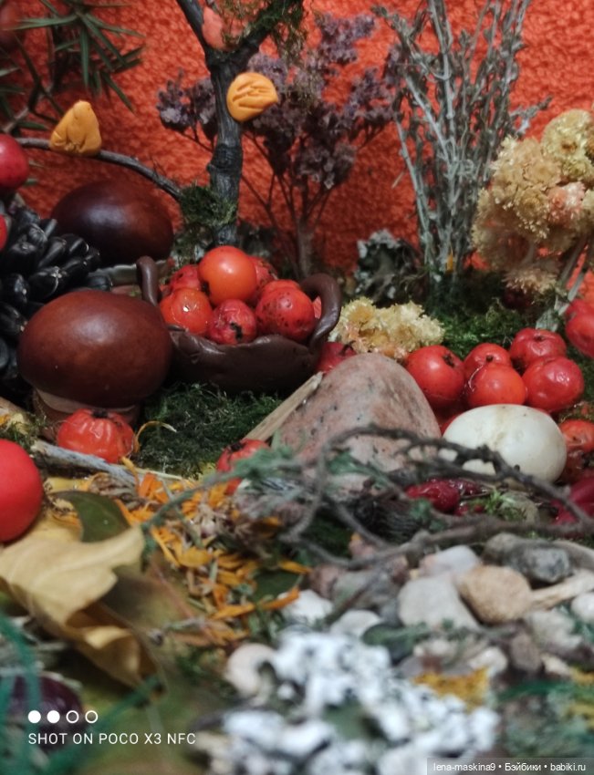 Осень- семейка ёжиков( заготовка на зиму)