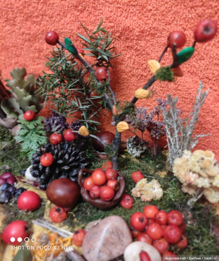 Осень- семейка ёжиков( заготовка на зиму)