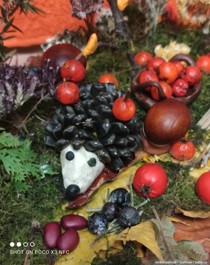 Осень- семейка ёжиков( заготовка на зиму)