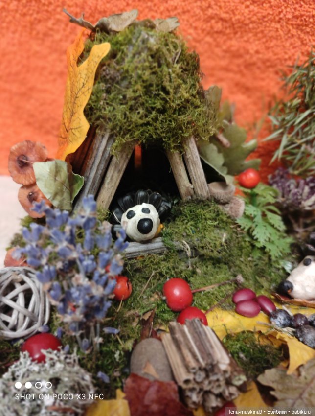 Осень- семейка ёжиков( заготовка на зиму)