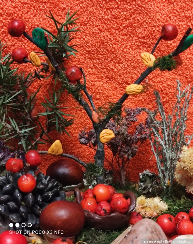 Осень- семейка ёжиков( заготовка на зиму)