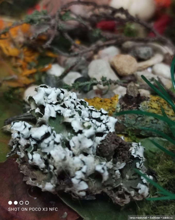 Осень- семейка ёжиков( заготовка на зиму)