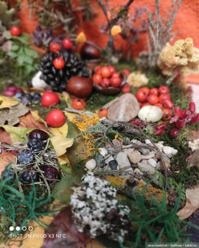 Осень- семейка ёжиков( заготовка на зиму)