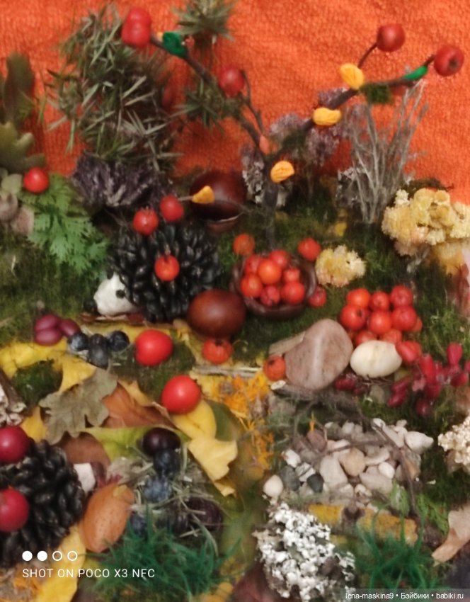 Осень- семейка ёжиков( заготовка на зиму)