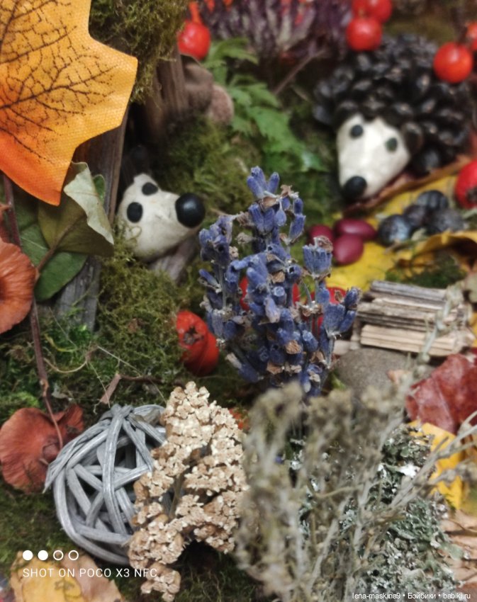 Осень- семейка ёжиков( заготовка на зиму)