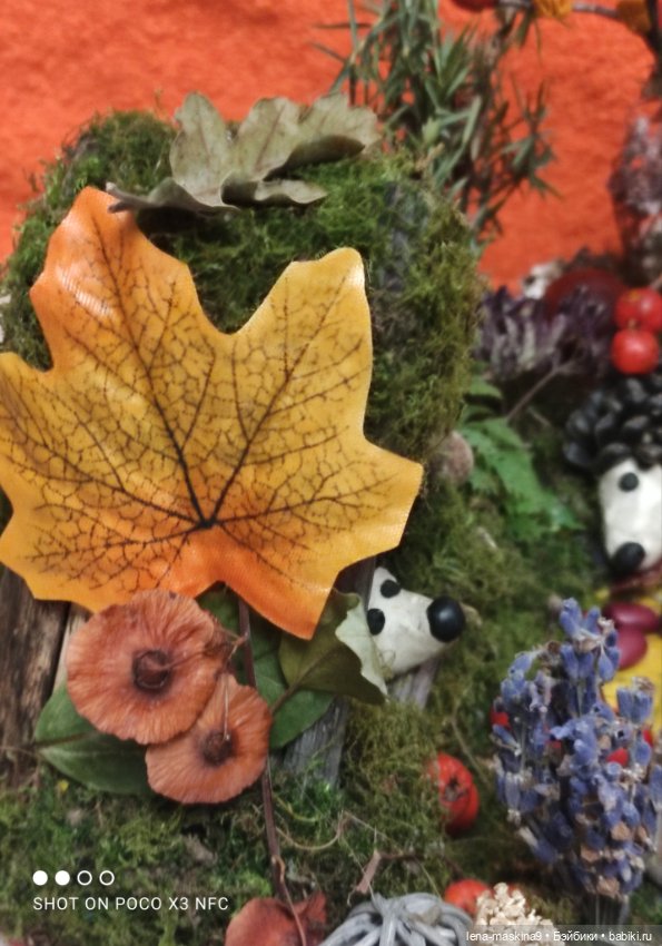 Осень- семейка ёжиков( заготовка на зиму)