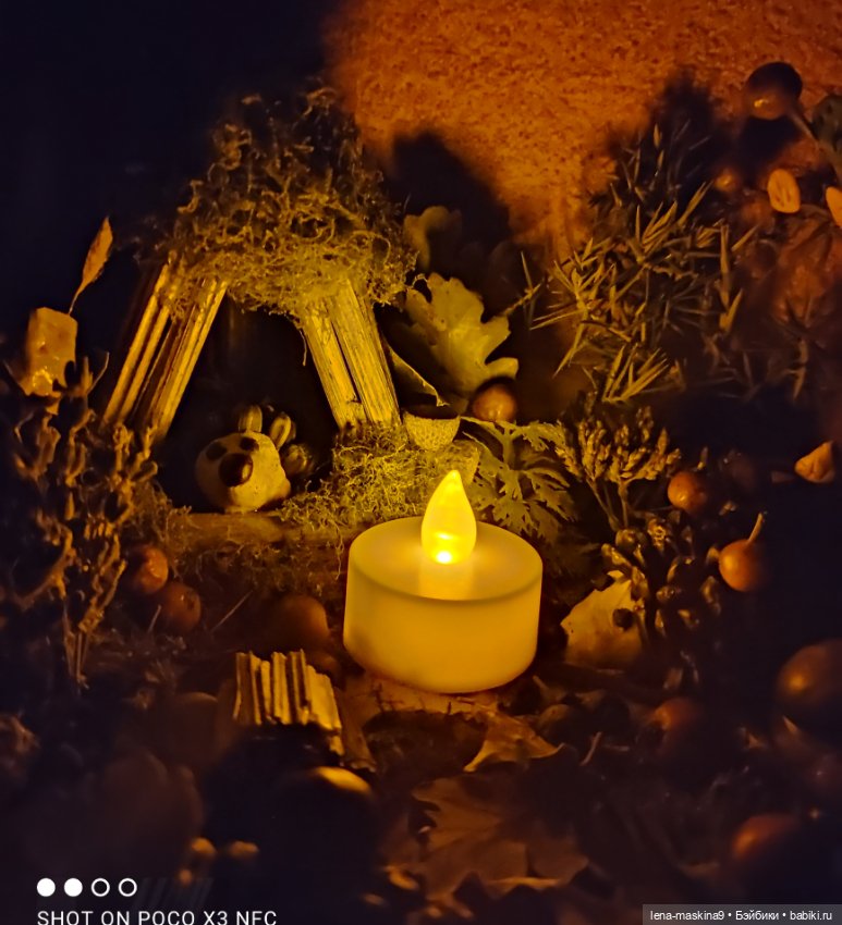 Осень- семейка ёжиков( заготовка на зиму) (фото 10)