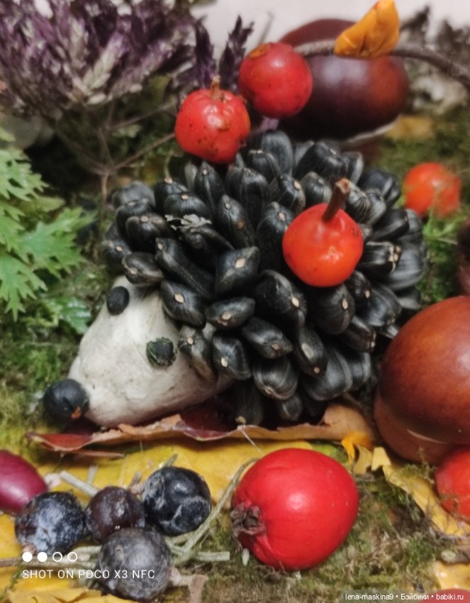 Осень- семейка ёжиков( заготовка на зиму)