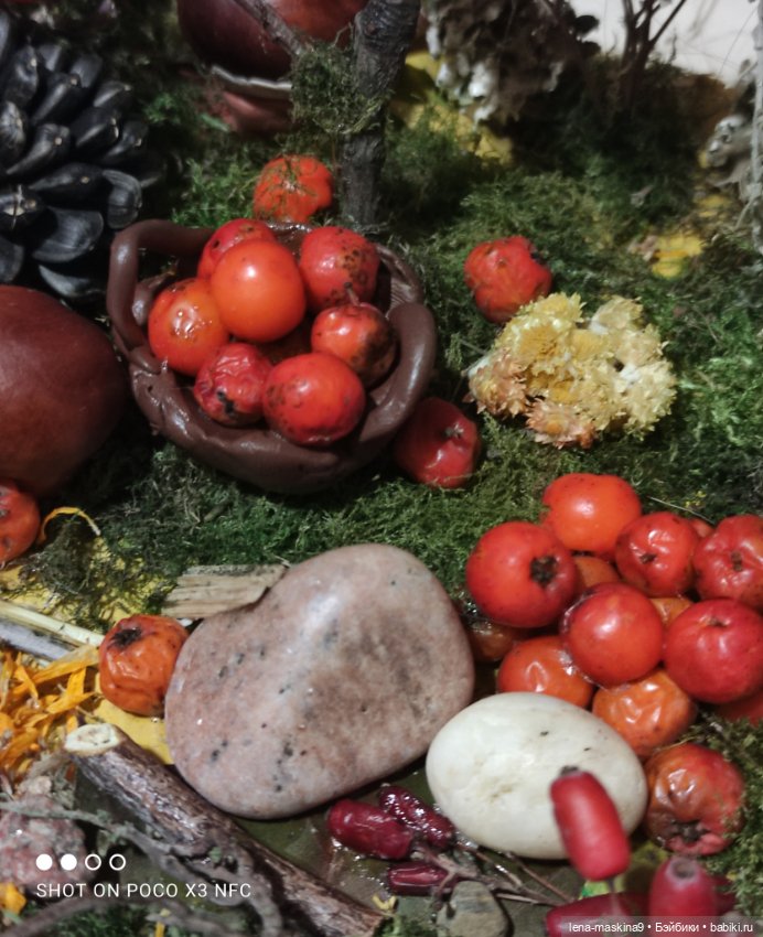 Осень- семейка ёжиков( заготовка на зиму)