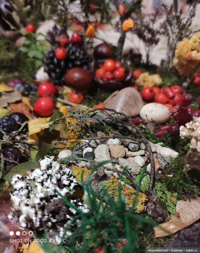 Осень- семейка ёжиков( заготовка на зиму)