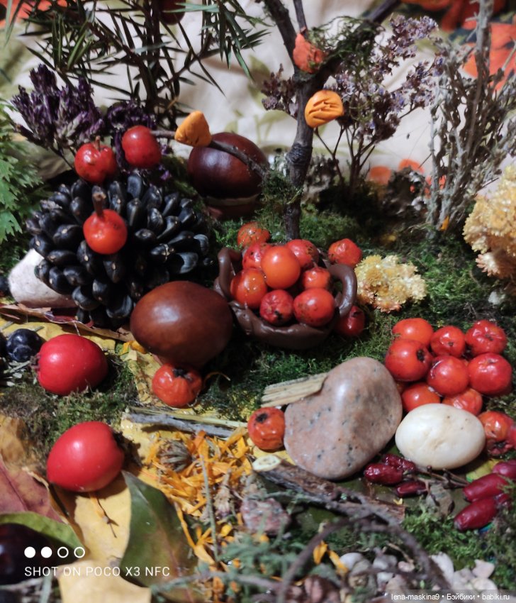 Осень- семейка ёжиков( заготовка на зиму)