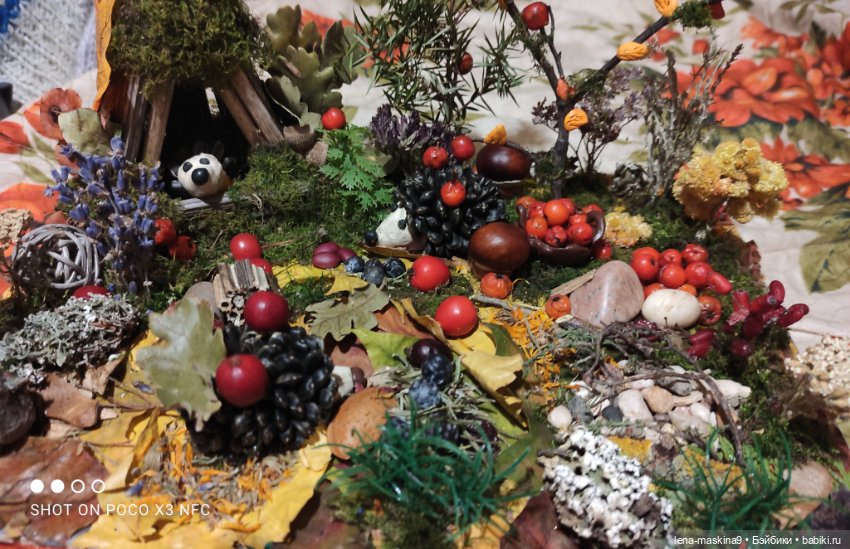 Осень- семейка ёжиков( заготовка на зиму)