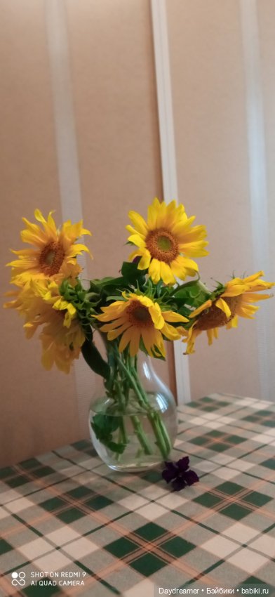 Подсолнухи. Или Солнечный Привет из августа 2021 года (фото 3)