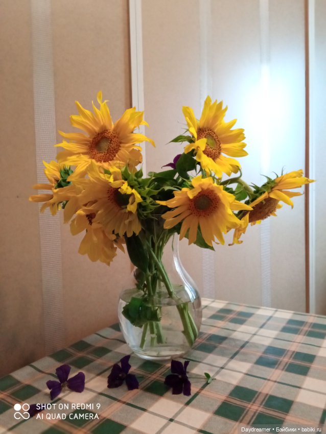 Подсолнухи. Или Солнечный Привет из августа 2021 года (фото 6)