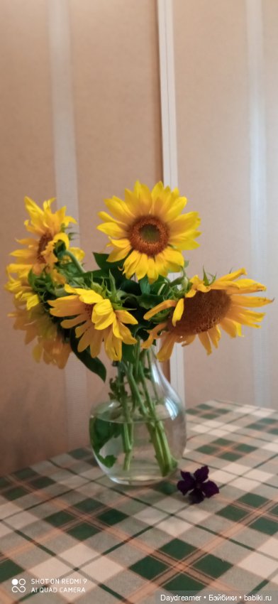 Подсолнухи. Или Солнечный Привет из августа 2021 года (фото 2)