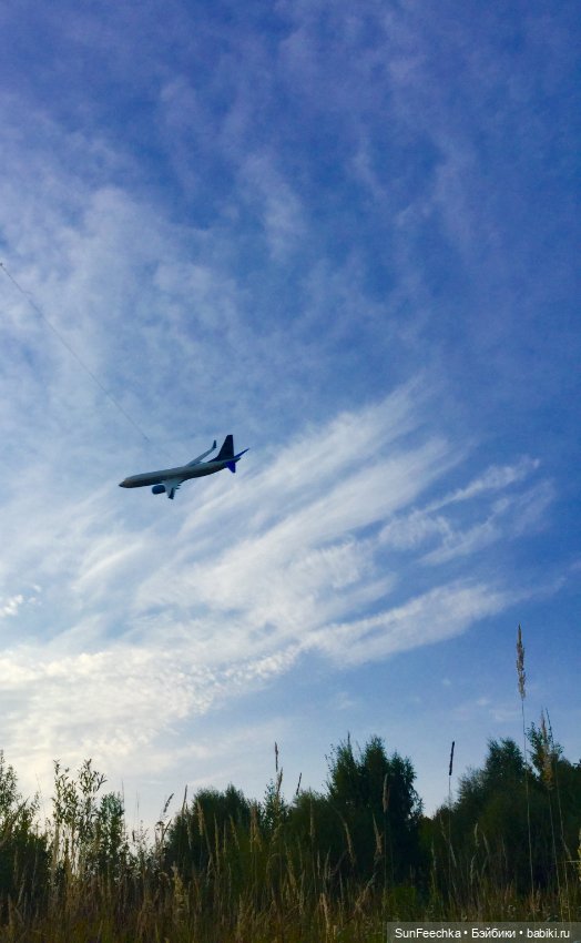 Только в полётах живут самолёты