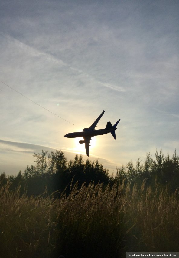 Только в полётах живут самолёты (фото 7)