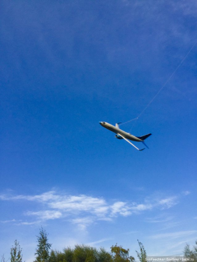 Только в полётах живут самолёты