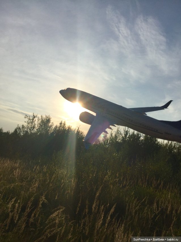 Только в полётах живут самолёты (фото 3)