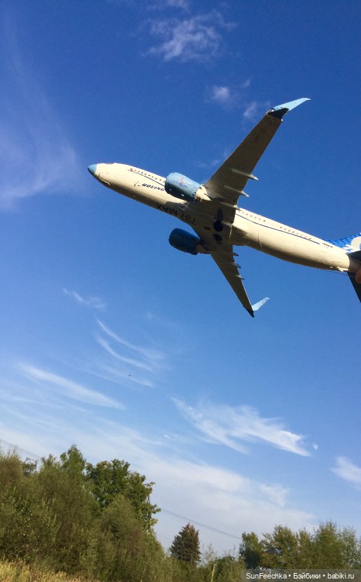 Только в полётах живут самолёты (фото 4)