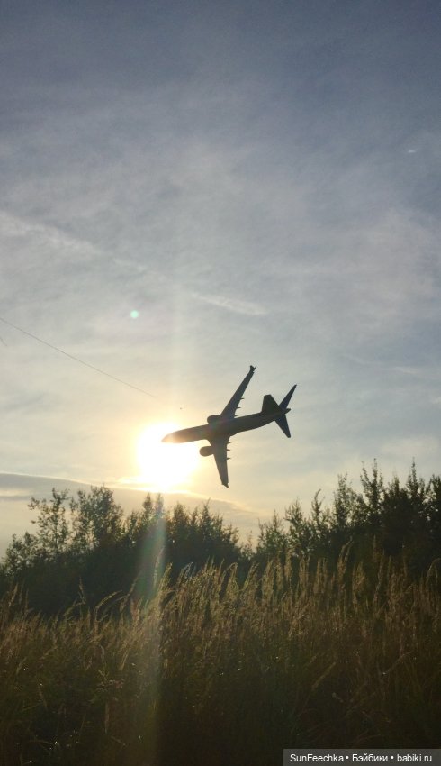 Только в полётах живут самолёты (фото 6)