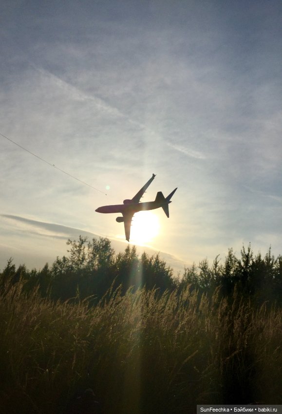 Только в полётах живут самолёты (фото 8)