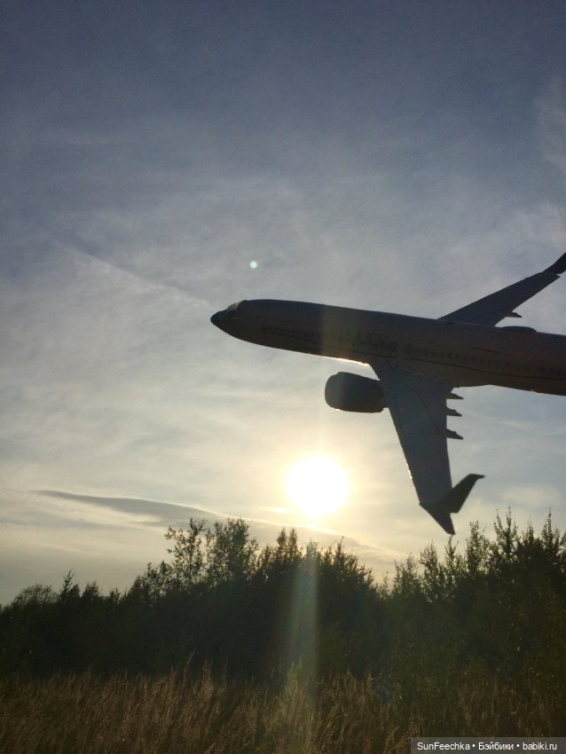 Только в полётах живут самолёты (фото 5)