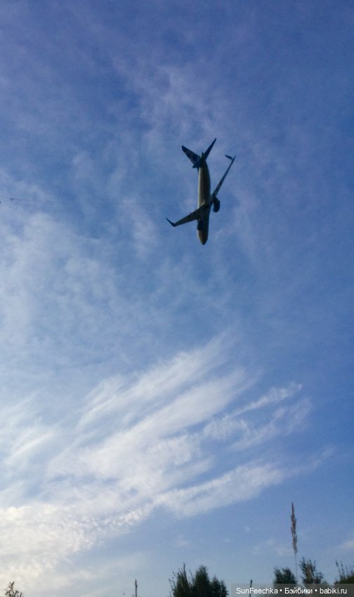 Только в полётах живут самолёты