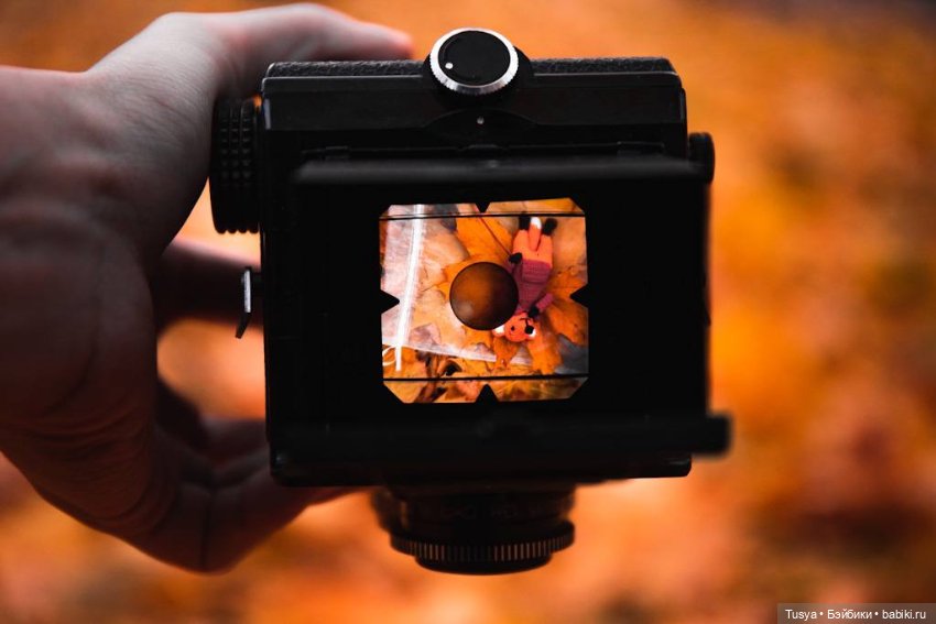 Маленькая осенняя прогулка с лисом (фото 2)