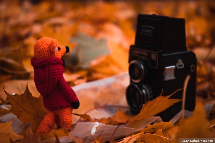 Маленькая осенняя прогулка с лисом (фото 3)