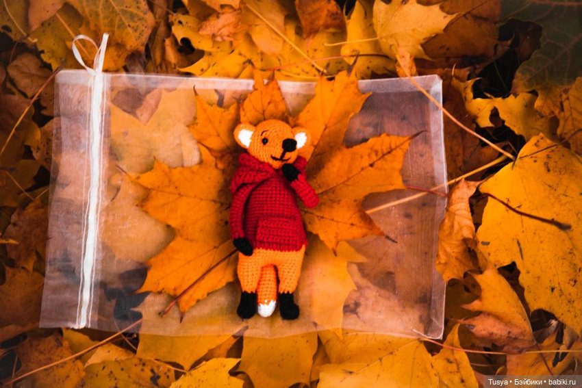 Маленькая осенняя прогулка с лисом