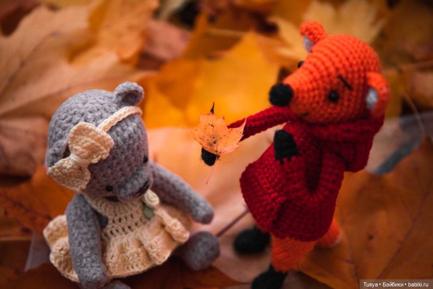 Маленькая осенняя прогулка с лисом (фото 5)