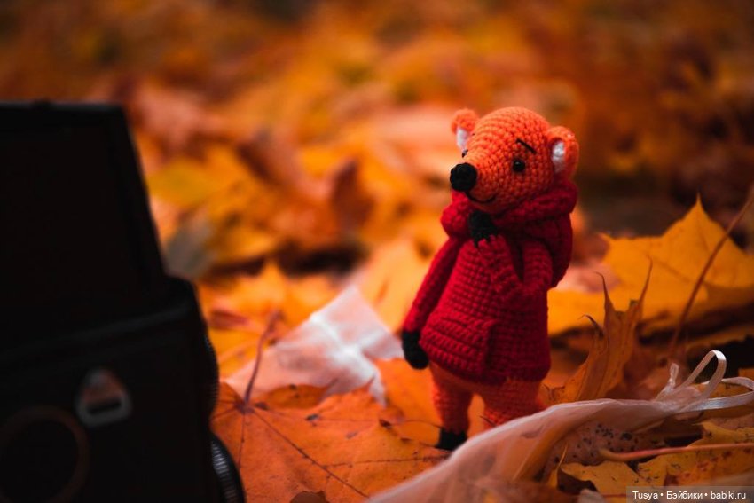 Маленькая осенняя прогулка с лисом (фото 4)