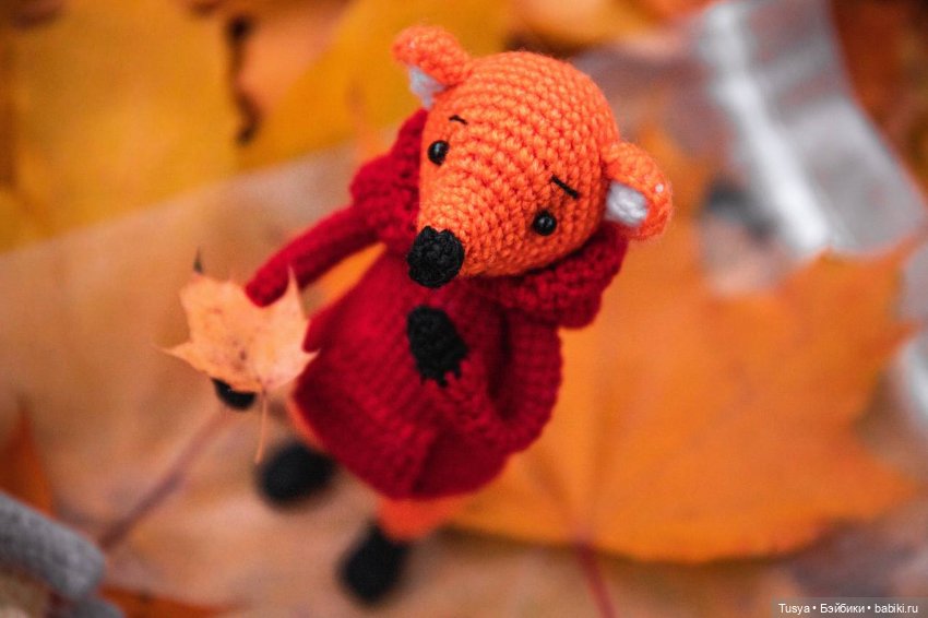 Маленькая осенняя прогулка с лисом (фото 6)