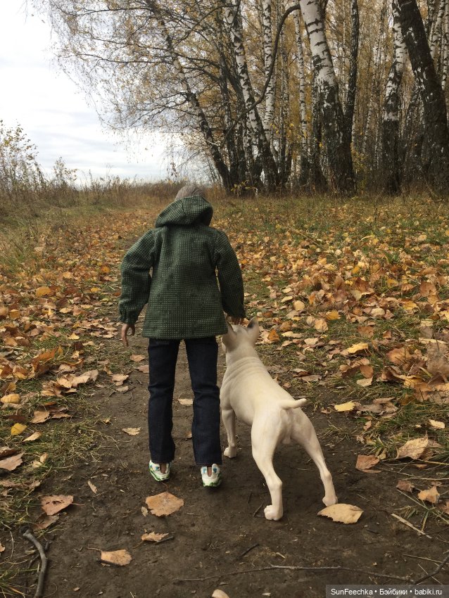 Матвей Сергеевич на прогулке с Сенсеем (фото 5)