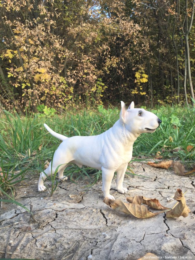 Матвей Сергеевич на прогулке с Сенсеем (фото 2)