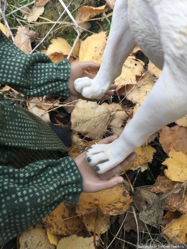 Матвей Сергеевич на прогулке с Сенсеем (фото 9)